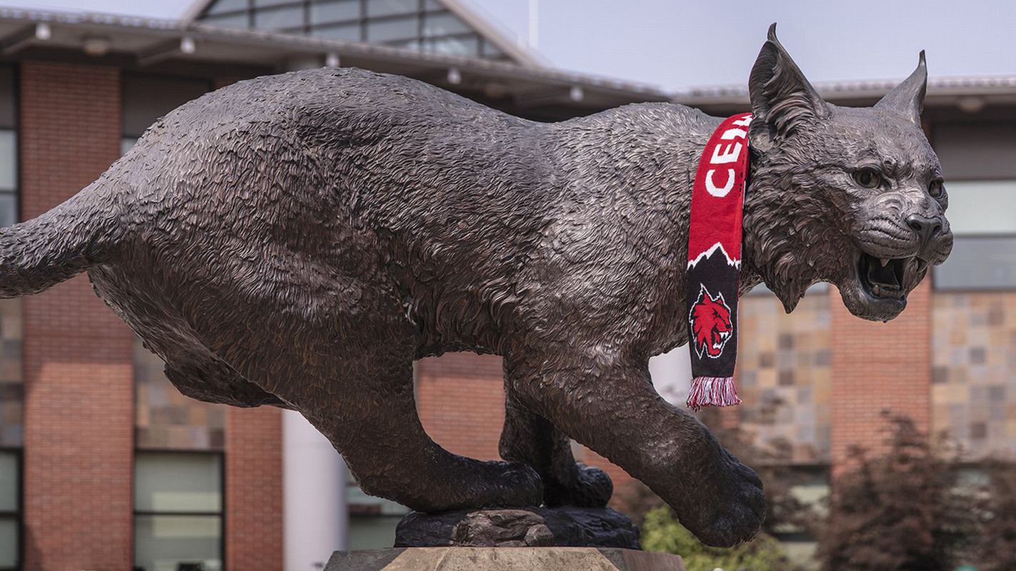 Captivating photo of the Wildcat at Central Washington University.