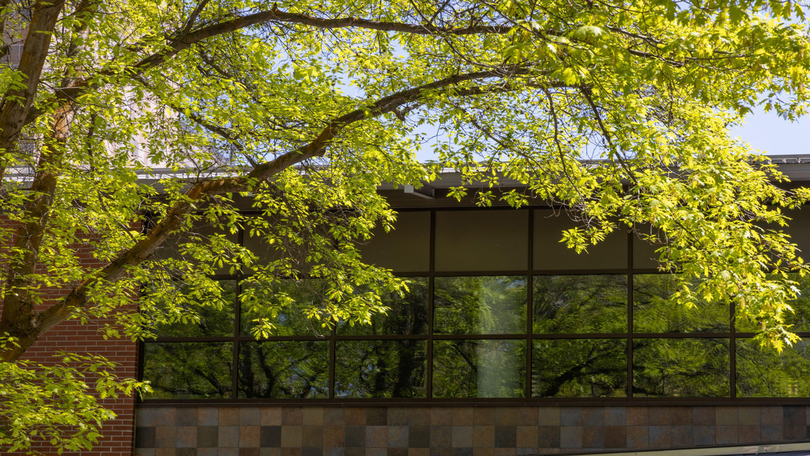 Captivating exterior photo of Civil Rights Compliance at Central Washington University. 