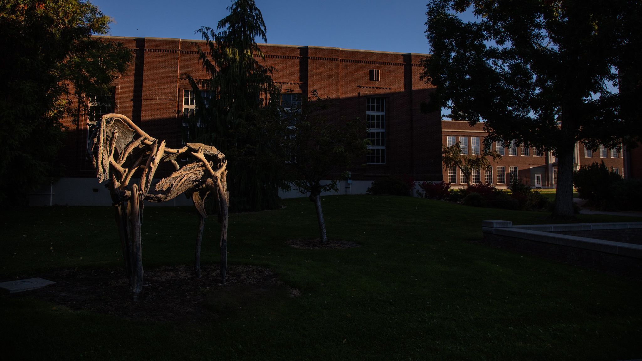dead horse