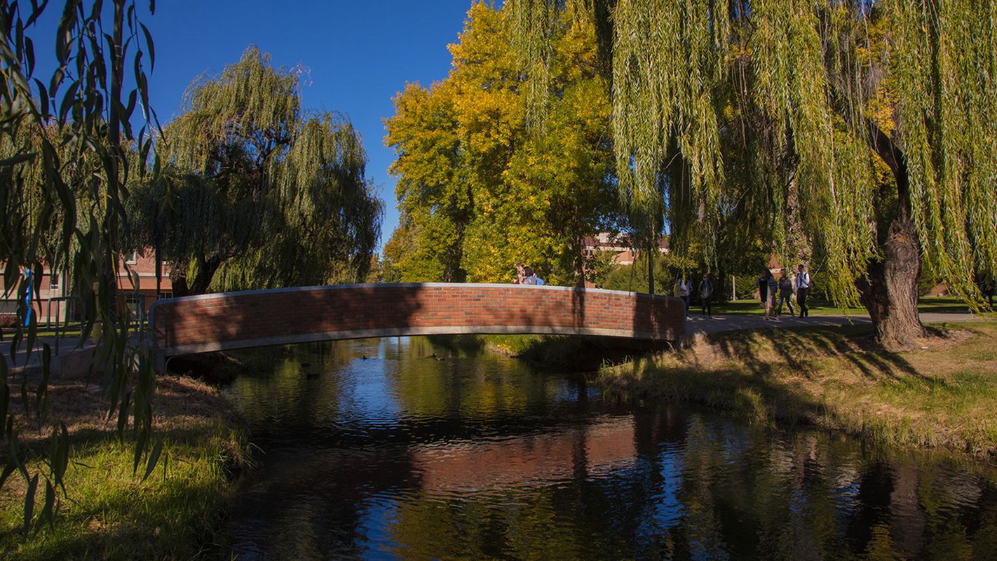 Photo of the bridge at Central Washington University.