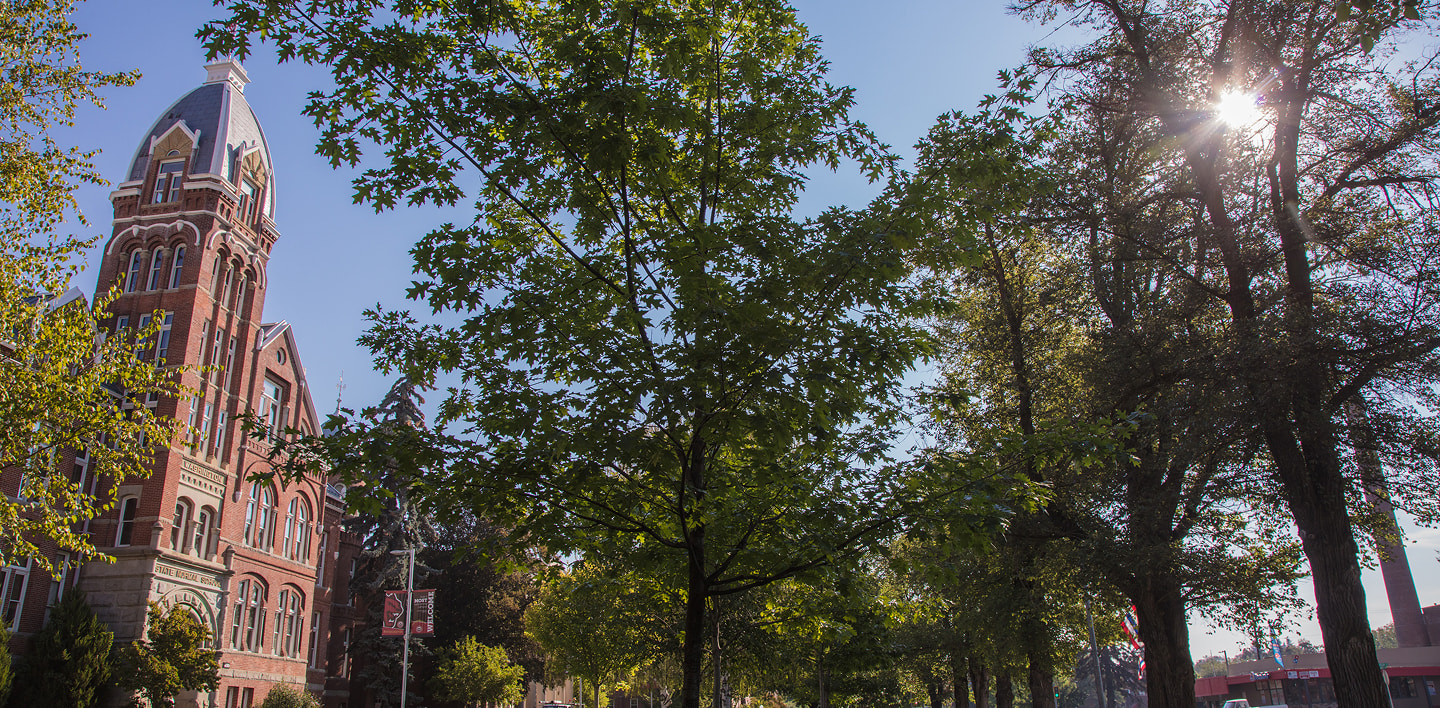 Barge hall and some lovely trees on a sunny day