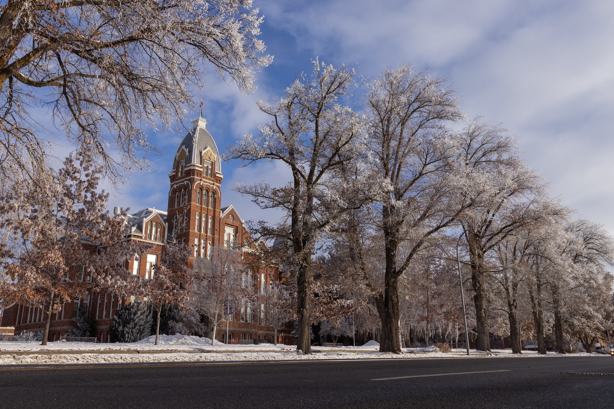 Trees in front of Barge Hall that have snow on them, the photo is taken from across the street.