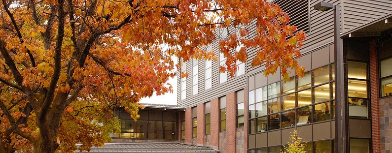 fall-surc.jpg