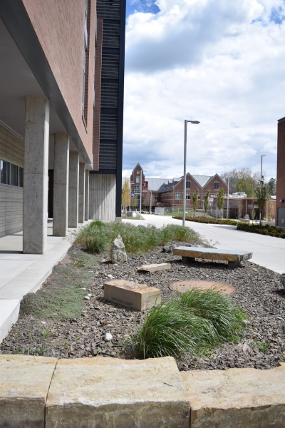 More Landscaping