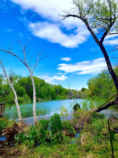 Engelhorn Pond holds the biggest area of biodiversity on campus.