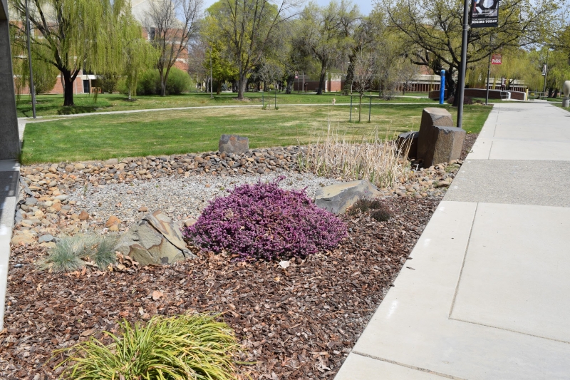 More Landscaping