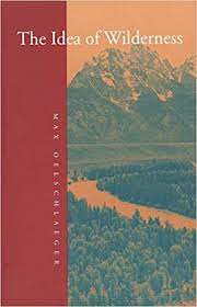 the-idea-of-wilderness.jpeg