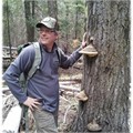 ec member jim johnson