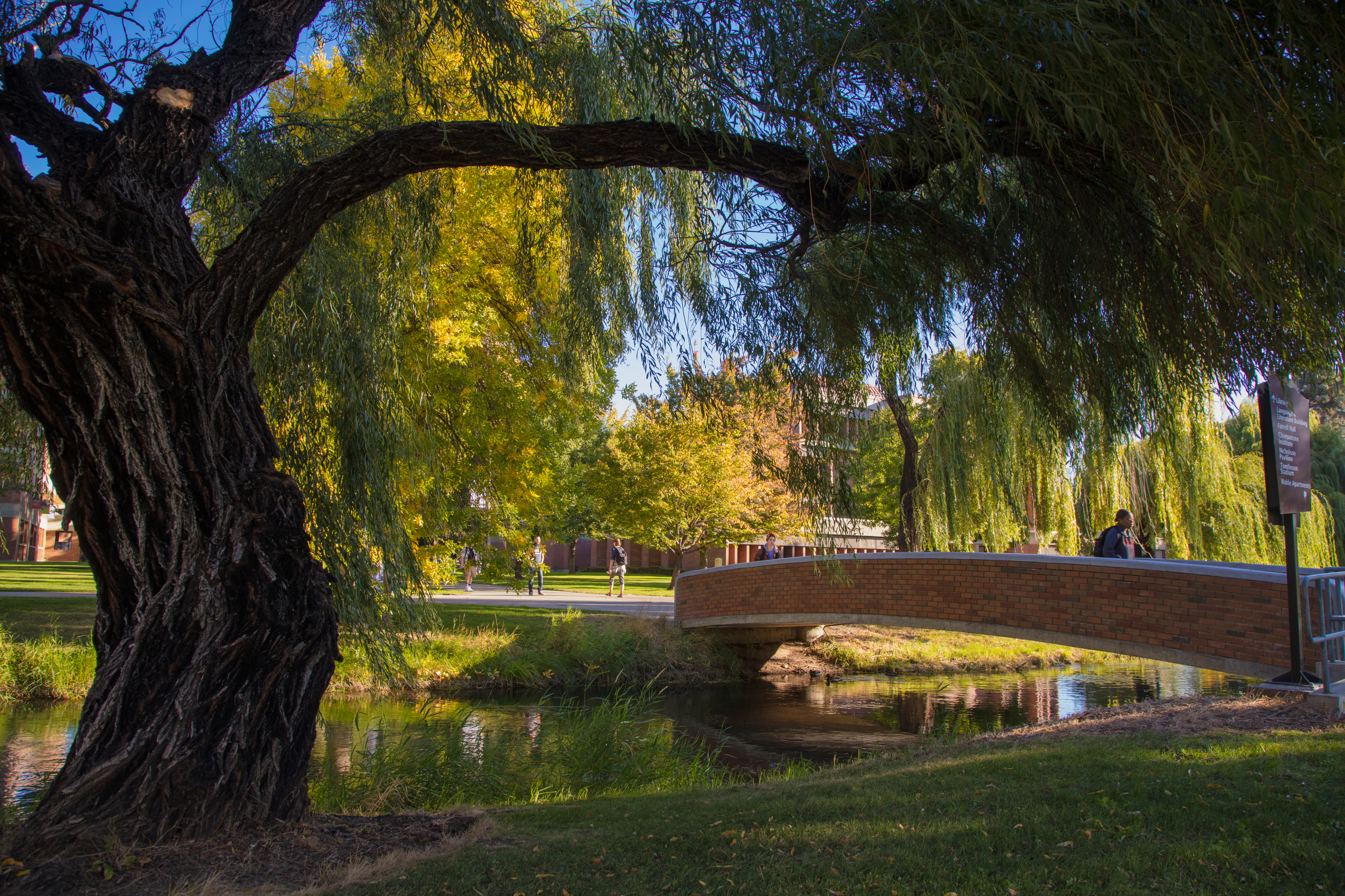 Bridge
