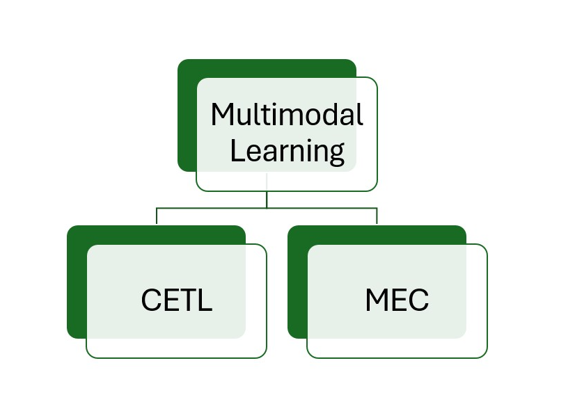 Multimodal Learning Organization Chart