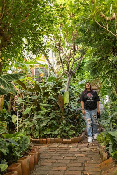 Person walks through the Jungle Room and looks up at the tall plants