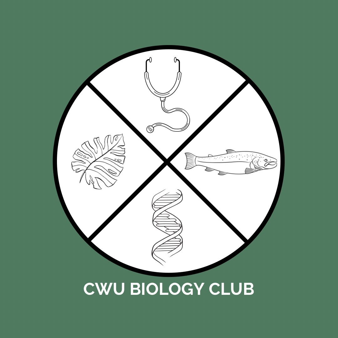 green background with white circle in center and circle has a black X dividing it into four sections. A palm leaf, stethoscope, fish and dna strand are drawn within the sections. 