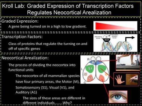 kroll_research_2016_page_1_0.jpg
