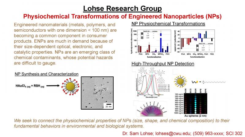 lohse_research-slide.jpg