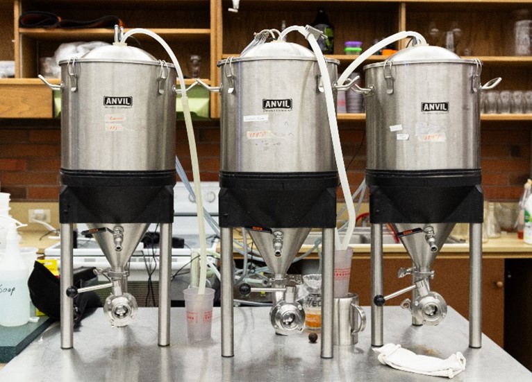 Anvil brewing system