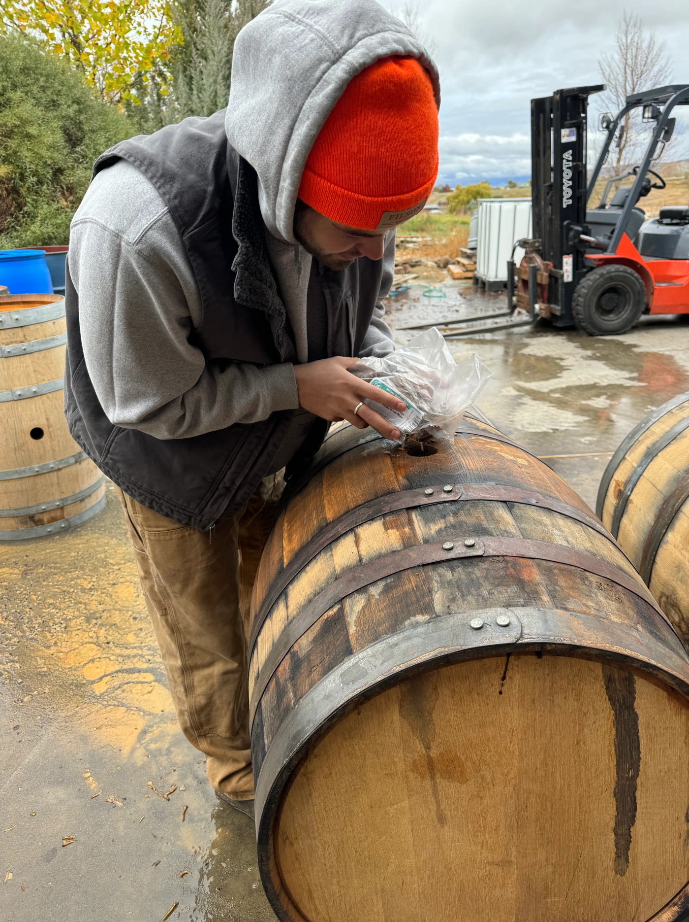 student brewing research