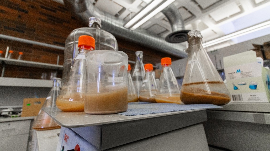 lab beakers
