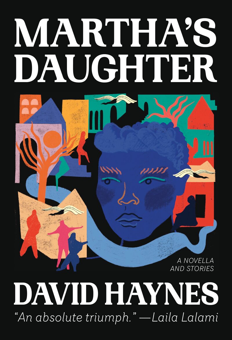 David Haynes book cover of Martha's Daughter