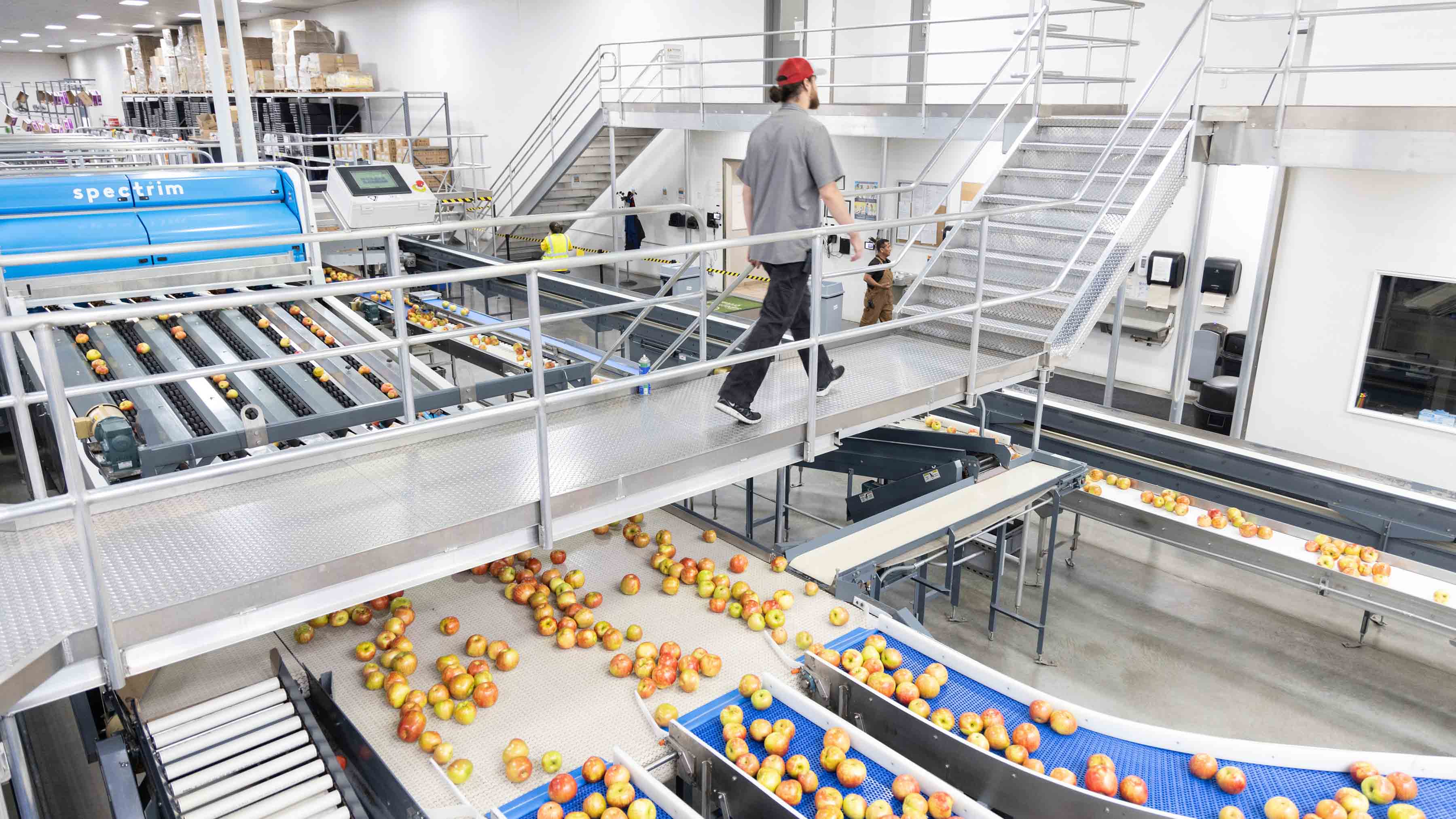 Agribusiness workers walking across a bridge at a processing factory