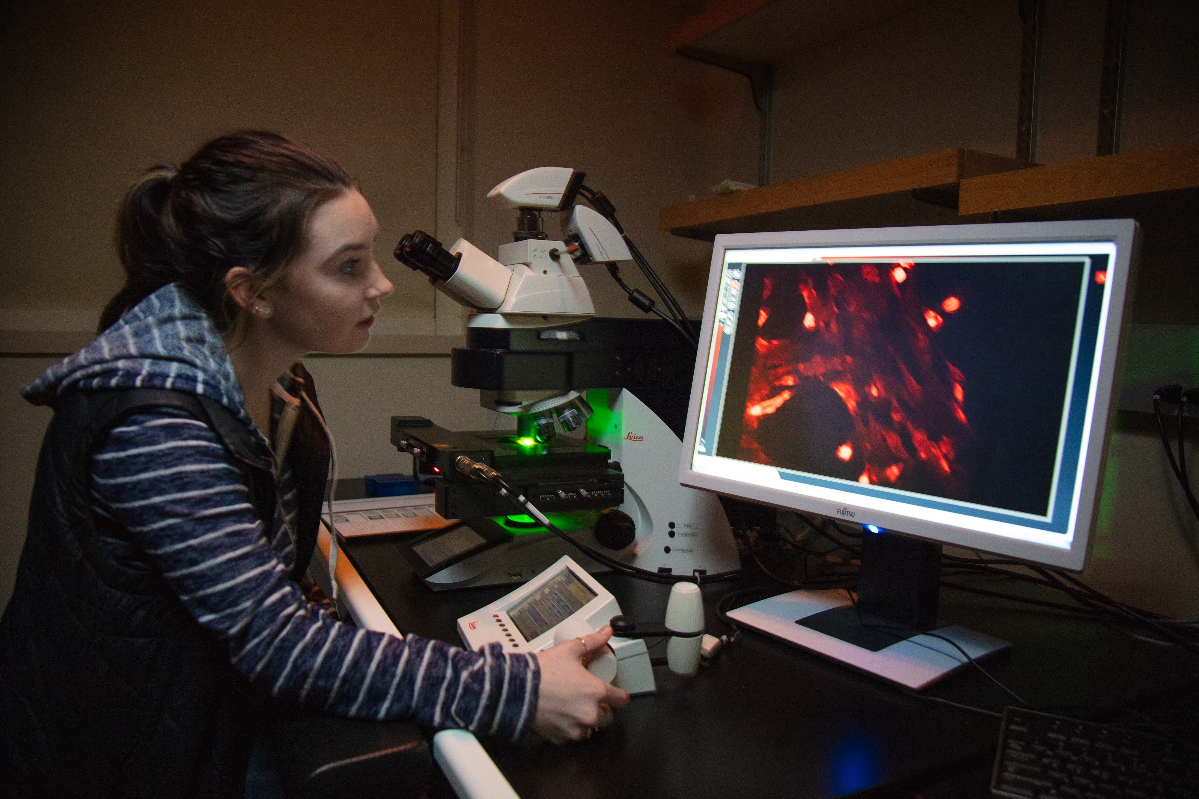 Student working in the lab.
