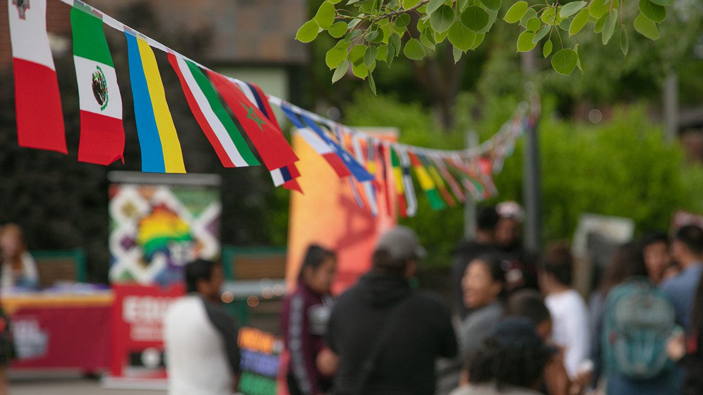 Row of different national flags