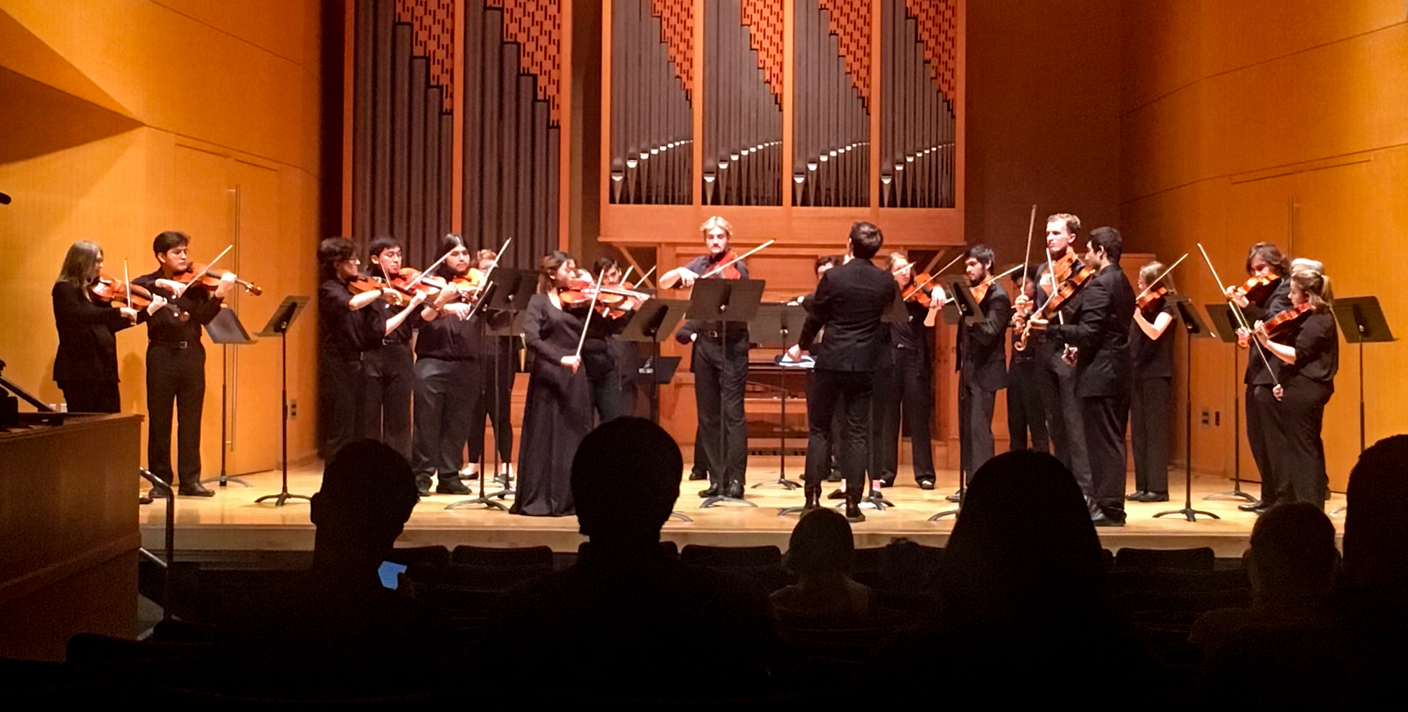 Viola Day on stage for final concert