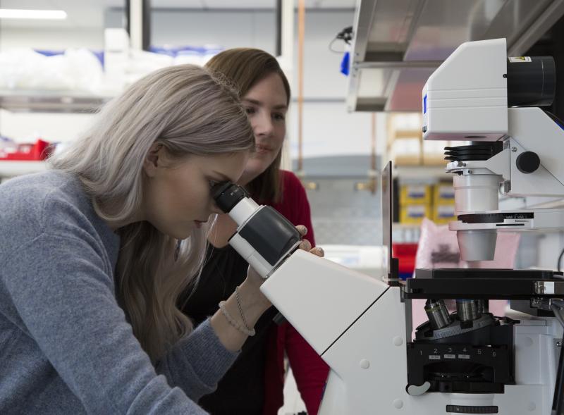Girl using a microscope