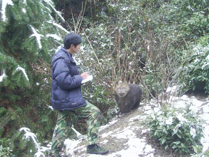 Picture of Dr. Zhu