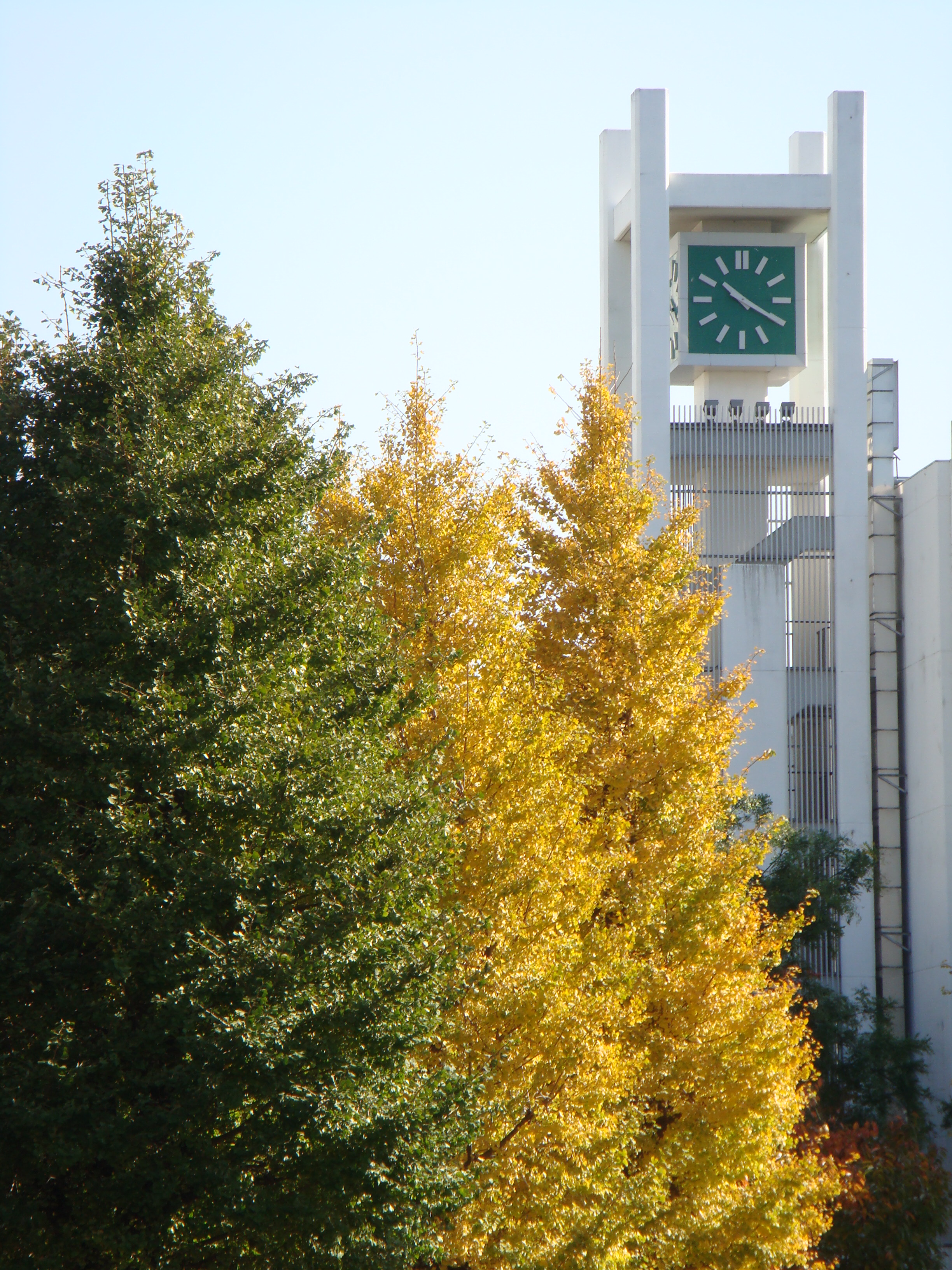 AU Campus