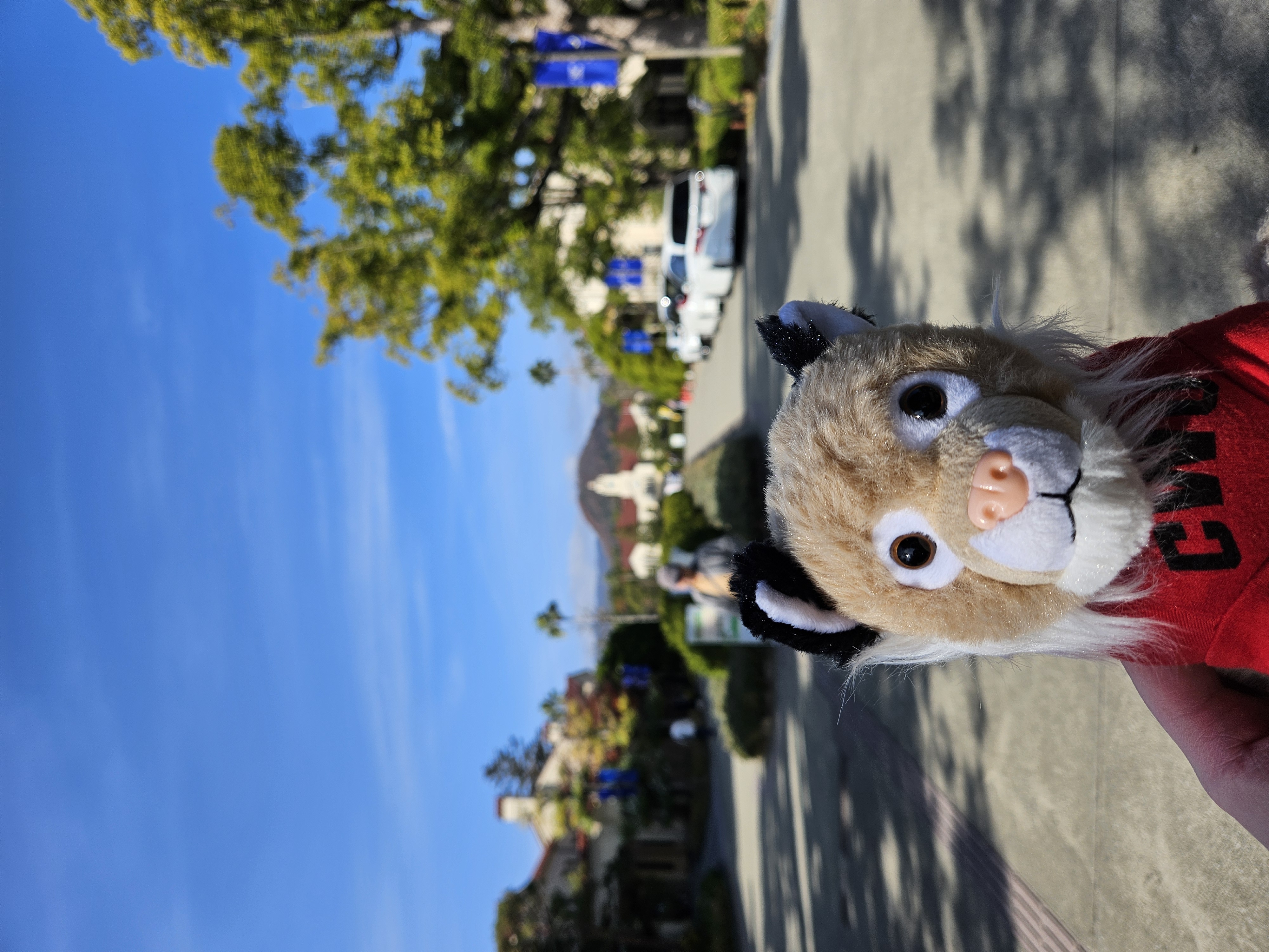 Wellington at KGU