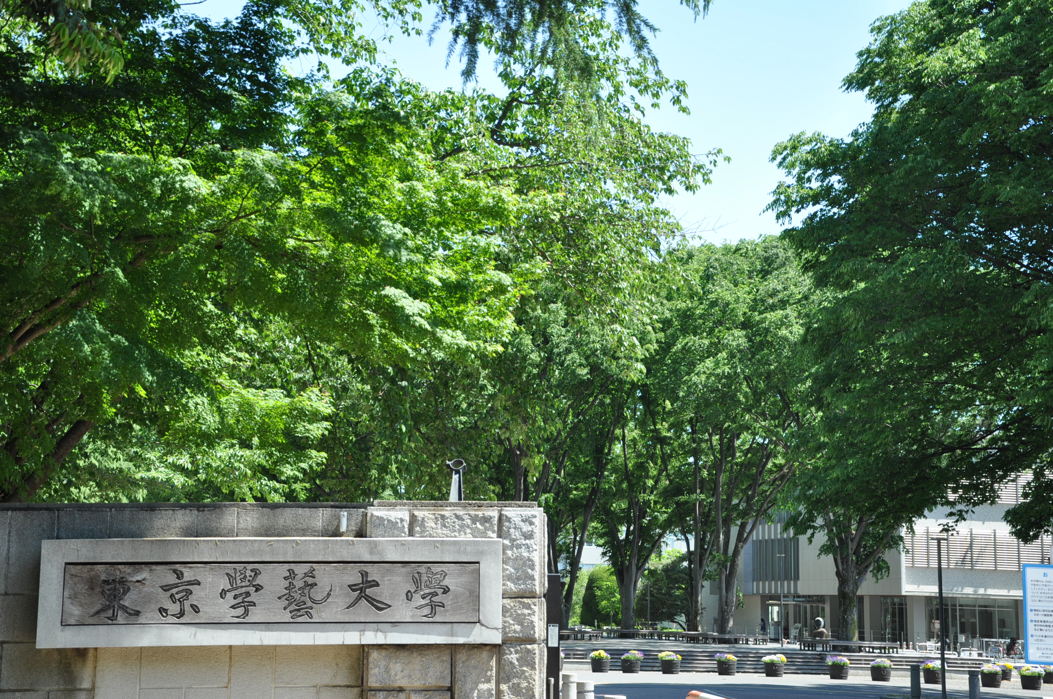 TGU Entrance