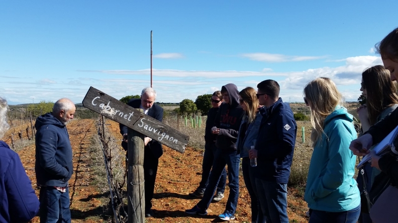 A study abroad trip with wine studies. A group of students are standing around a sign that says "Cabernet Sauvignon".