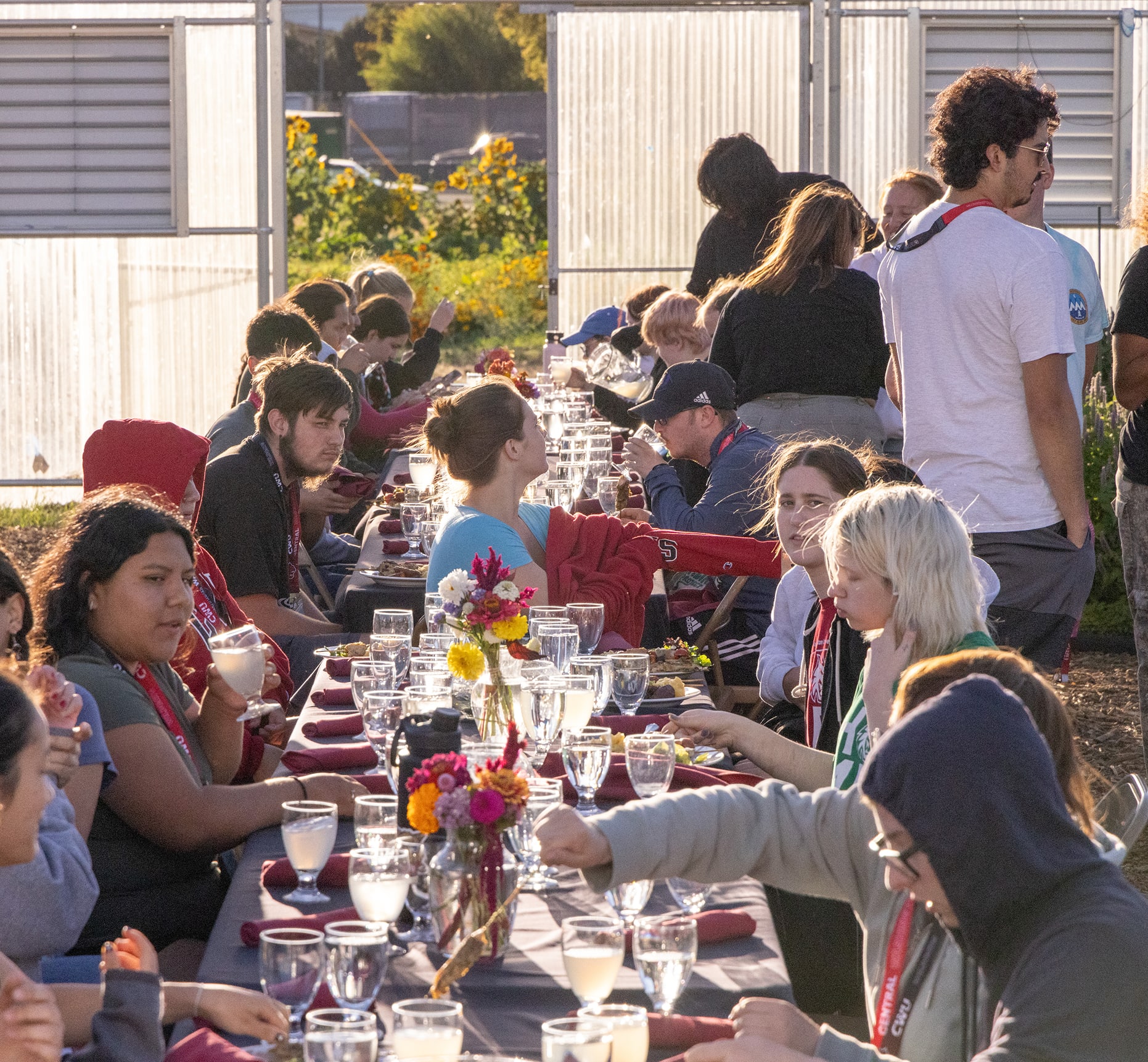 You will receive an in-depth exploration of the university while being connected to CWU faculty and staff, community resources, and processes. 