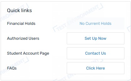 Screenshot of Flywire Auth User button