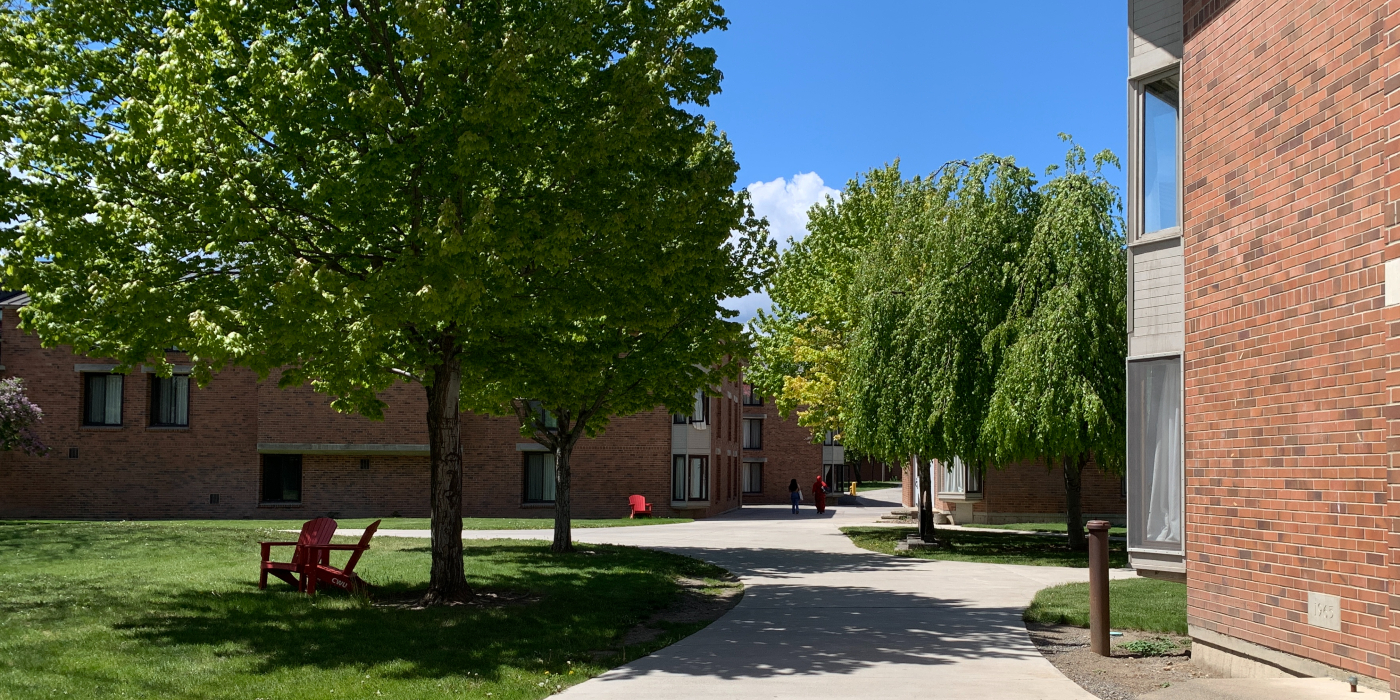 Bassetti complex in summer