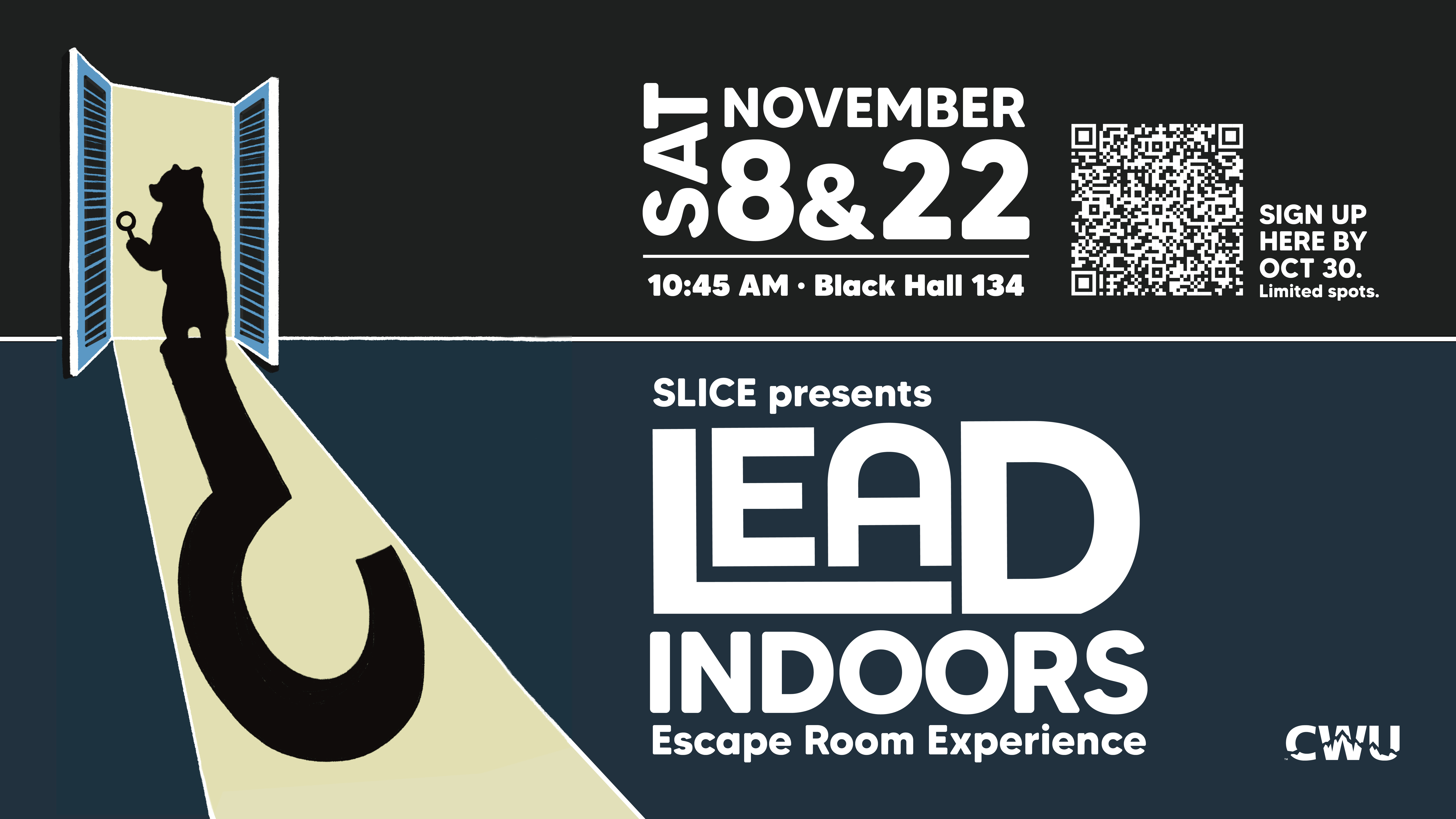 LEAD web size